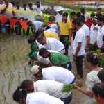 Wetland Sports Hebbale